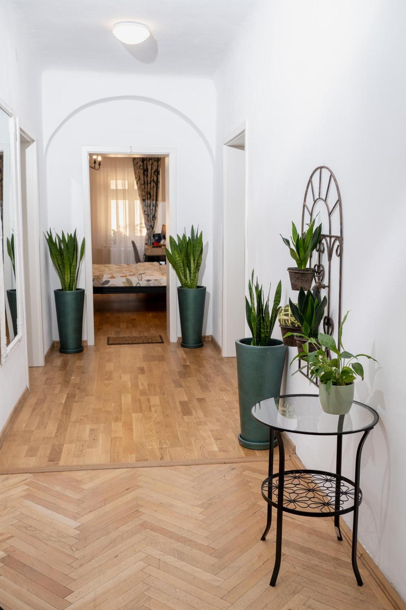 Downtown Apartment